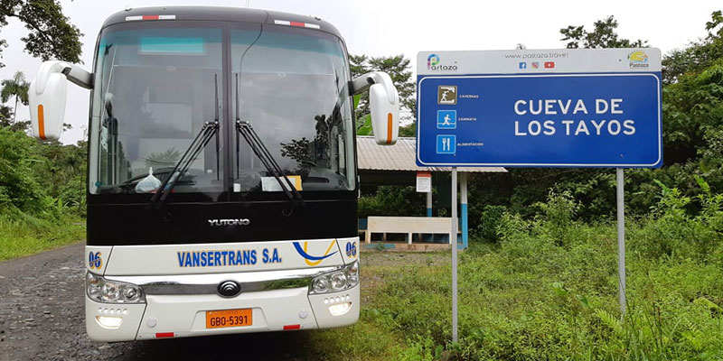 vehiculos_bus_002