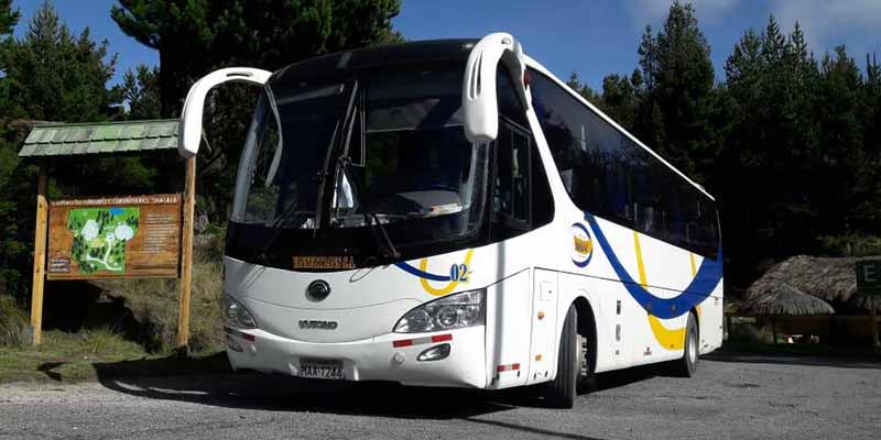 vehiculos_bus_004